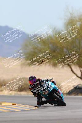 media/May-12-2024-SoCal Trackdays (Sun) [[ad755dc1f9]]/10-Turn 4 Tree of Life (1120am)/